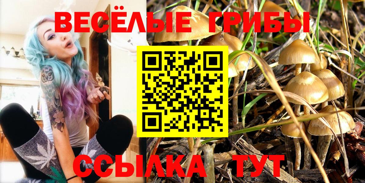 Псилоцибиновые грибы мицелий Унеча
